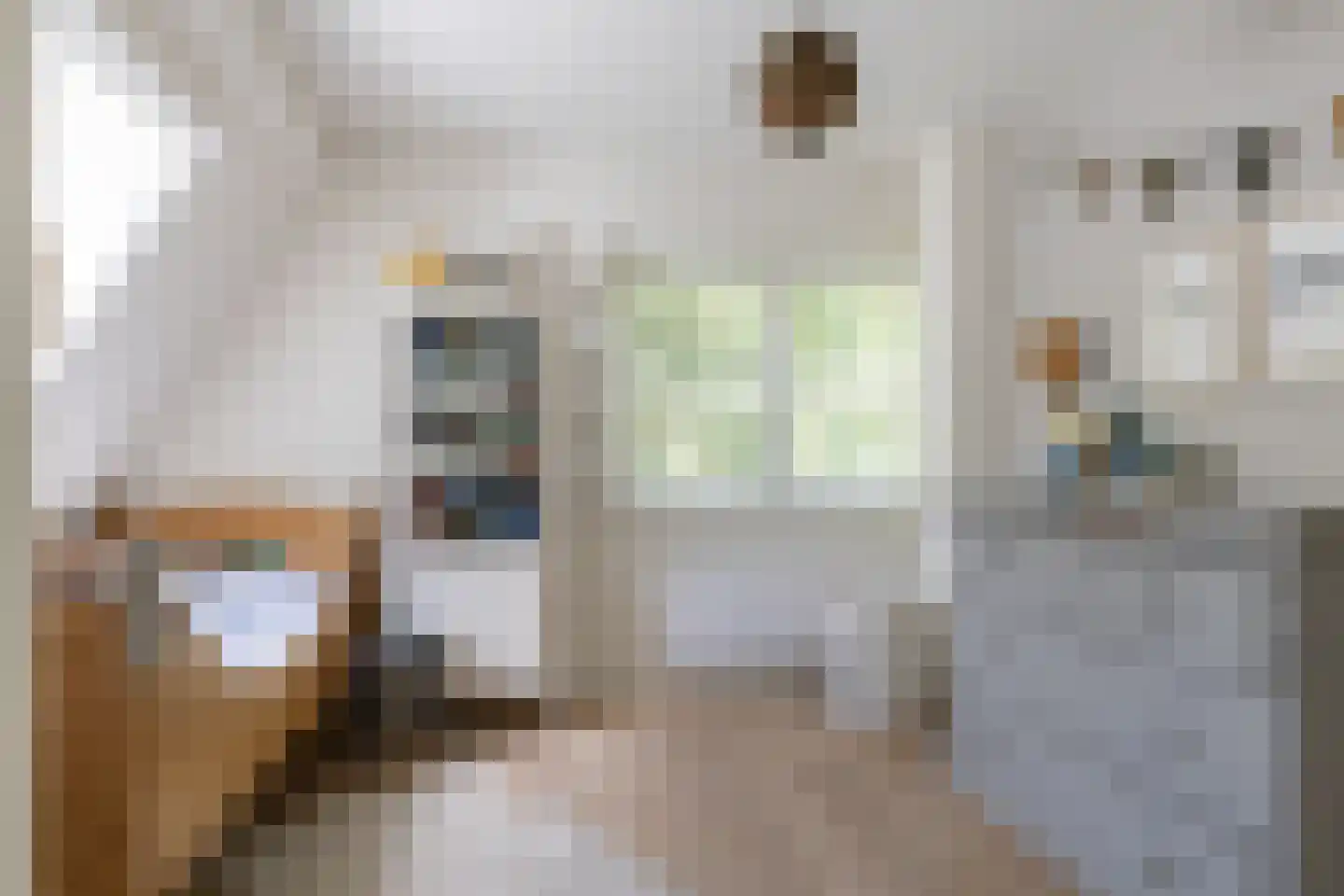 Frans Halslaan 113 Bilthoven thumbnail 45