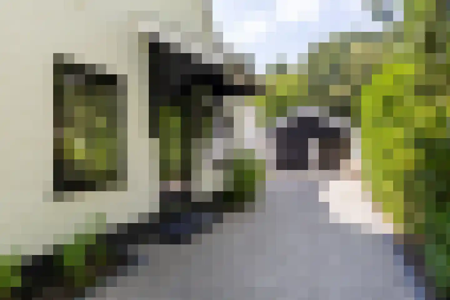 Frans Halslaan 113 Bilthoven thumbnail 5