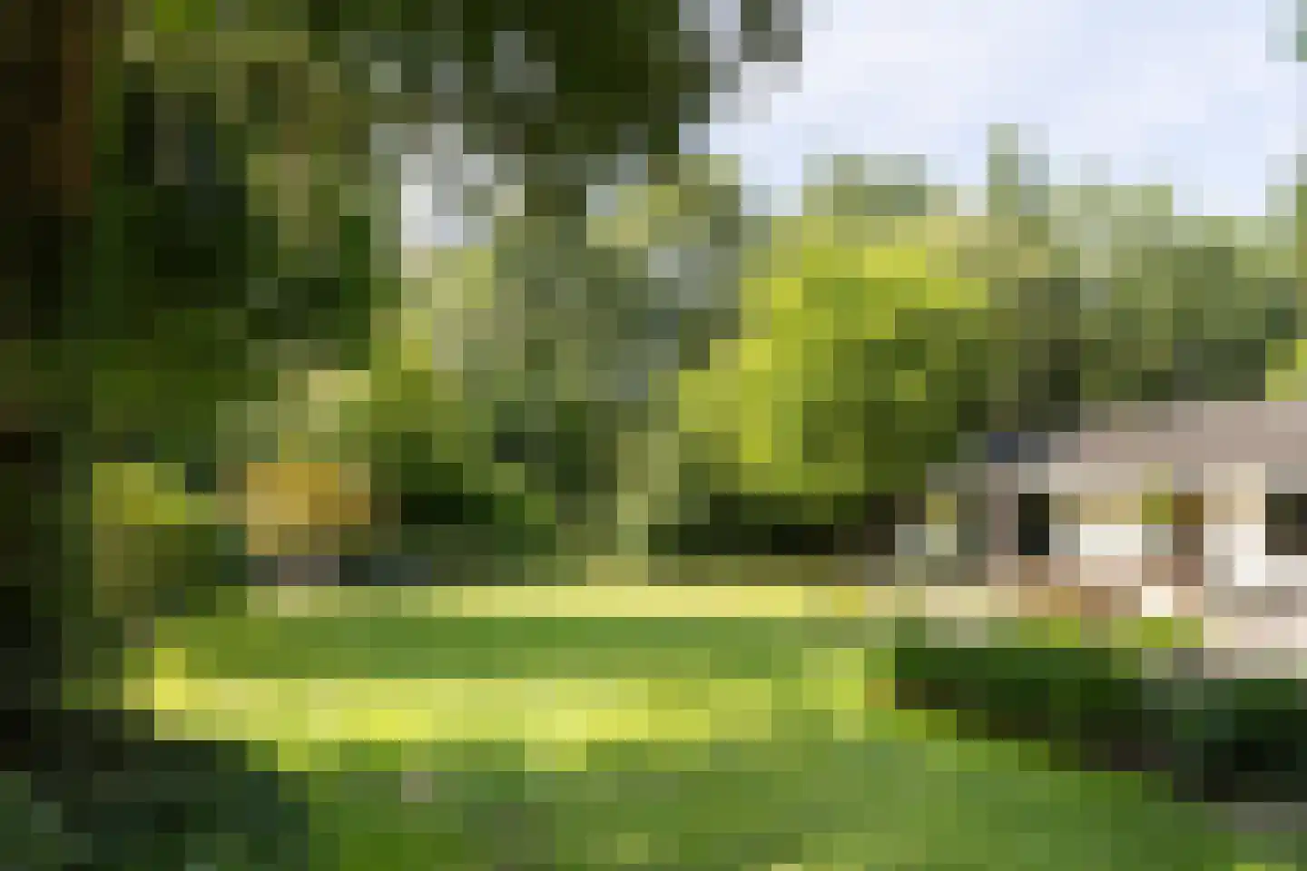 Frans Halslaan 113 Bilthoven thumbnail 57