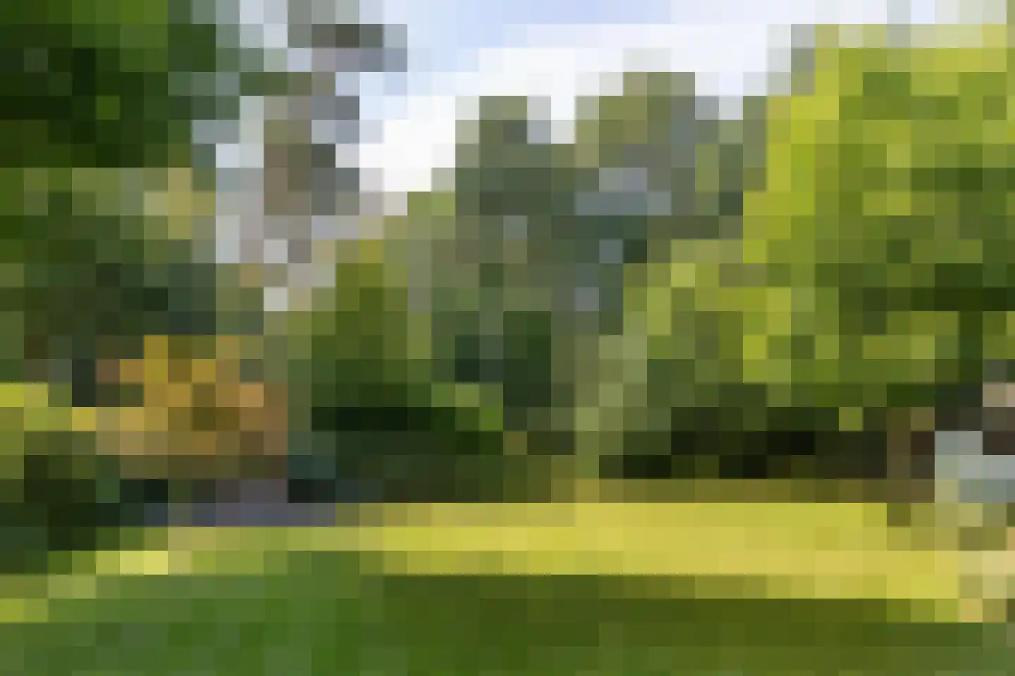 Frans Halslaan 113 Bilthoven thumbnail 58