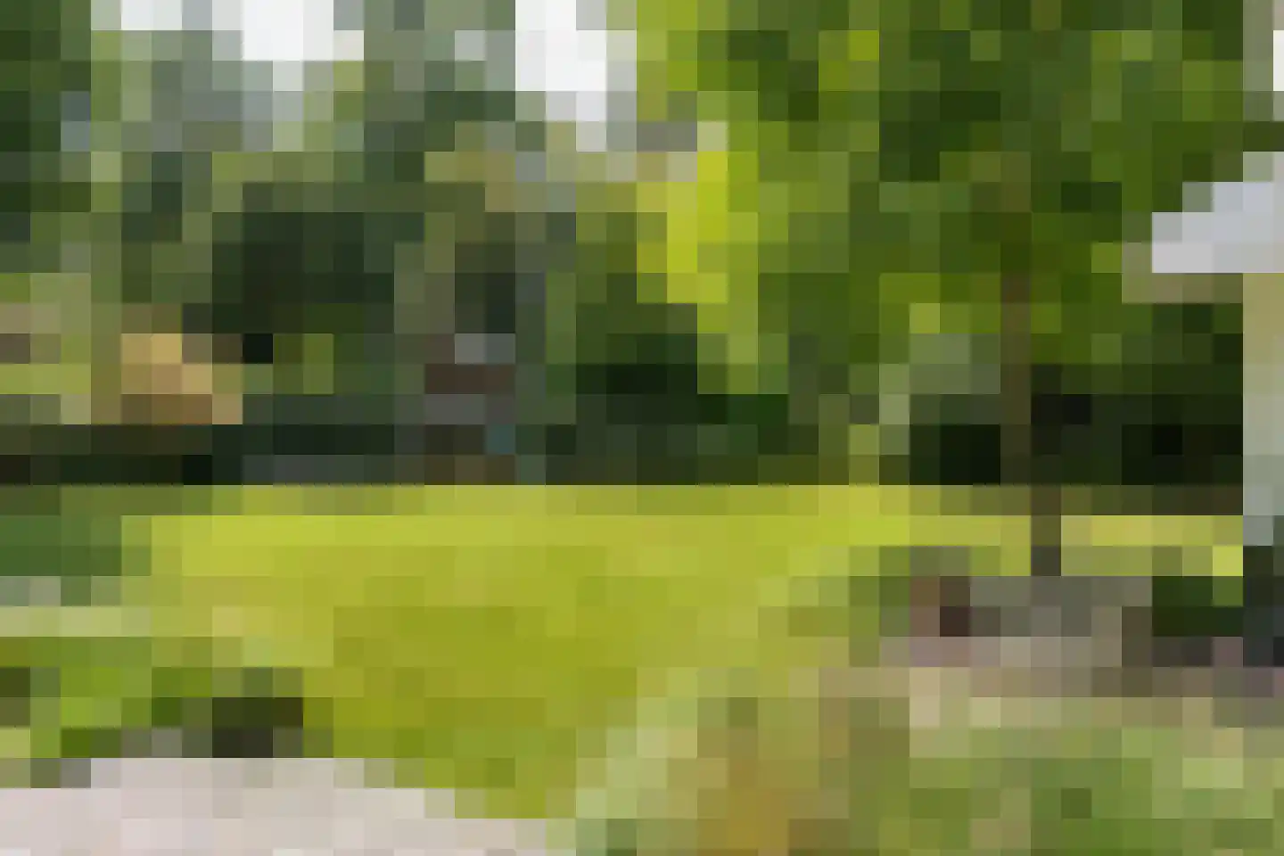 Frans Halslaan 113 Bilthoven thumbnail 59