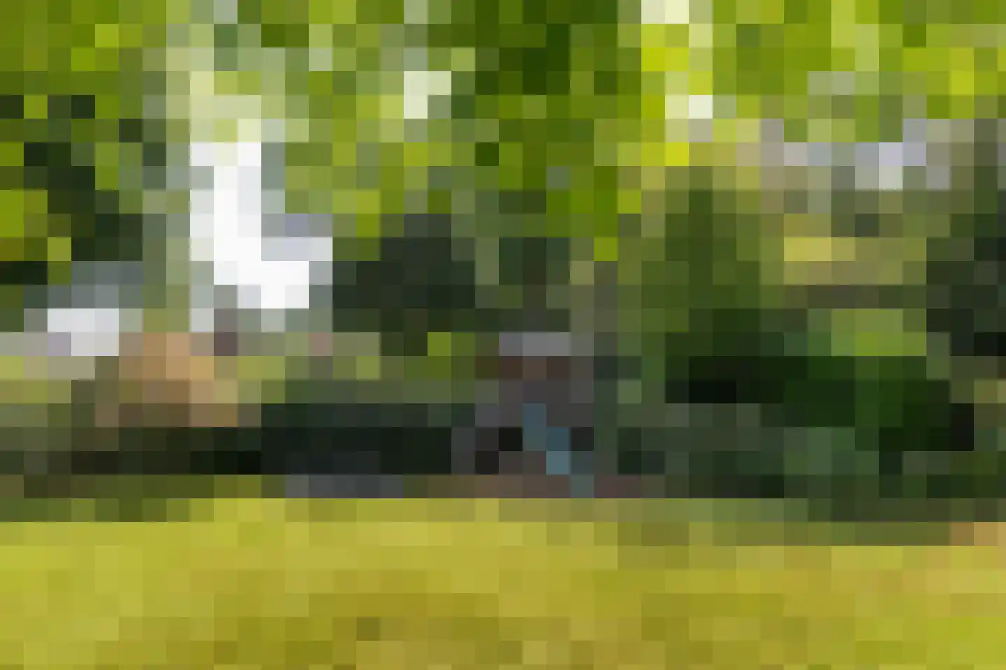 Frans Halslaan 113 Bilthoven thumbnail 60
