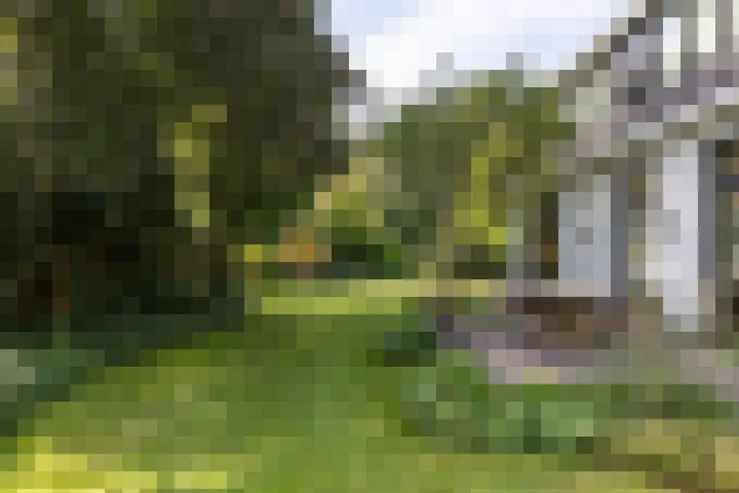 Frans Halslaan 113 Bilthoven thumbnail 71