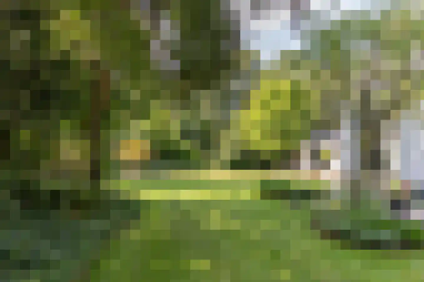 Frans Halslaan 113 Bilthoven thumbnail 73