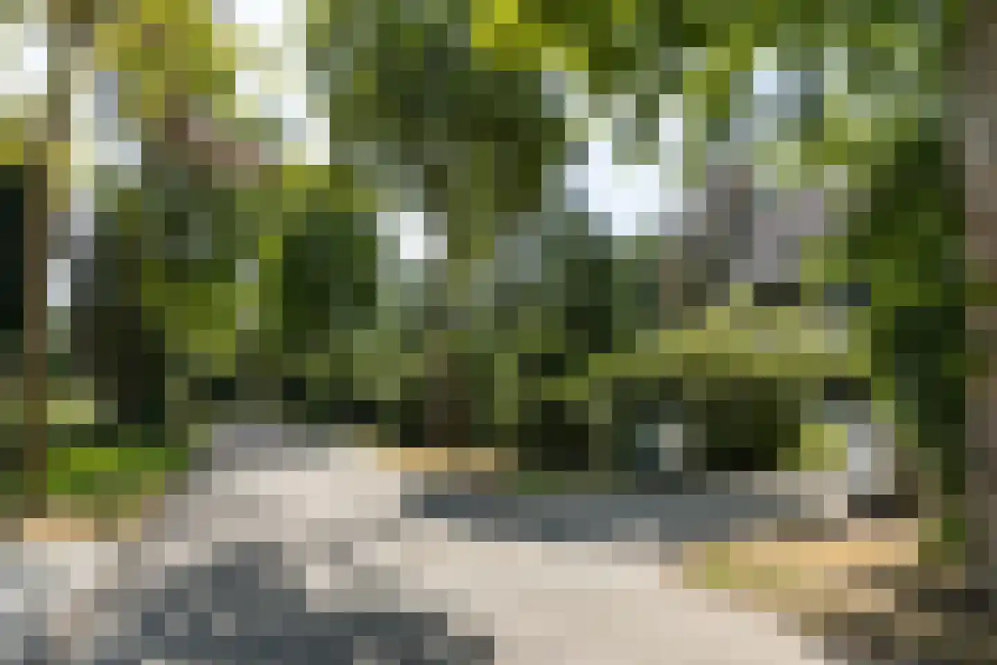 Frans Halslaan 113 Bilthoven thumbnail 80