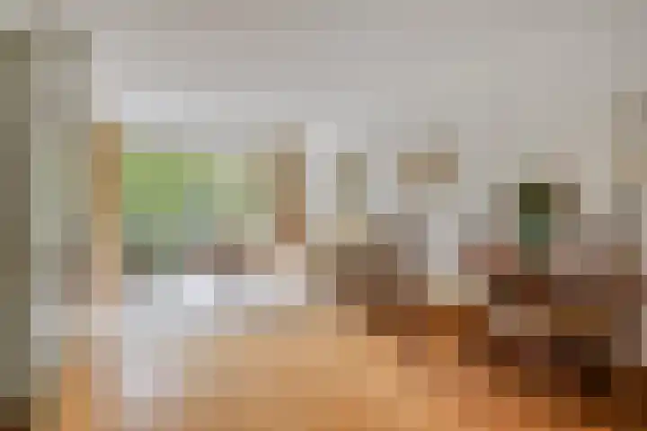 Frans Halslaan 113 Oegstgeest thumbnail 12