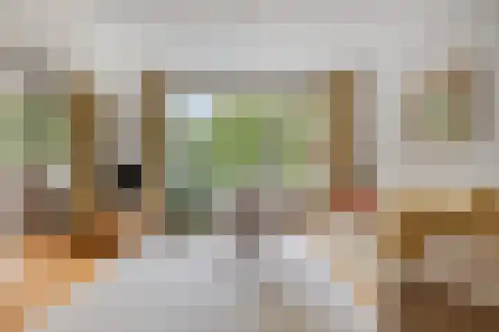 Frans Halslaan 113 Oegstgeest thumbnail 13