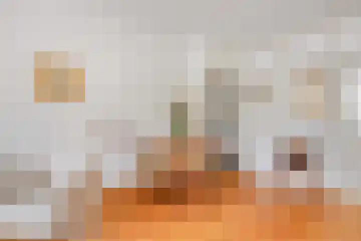Frans Halslaan 113 Oegstgeest thumbnail 15