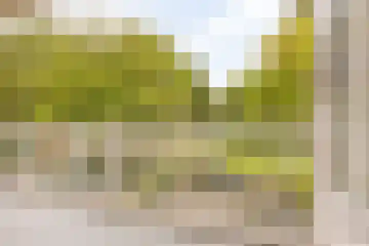 Frans Halslaan 113 Oegstgeest thumbnail 29