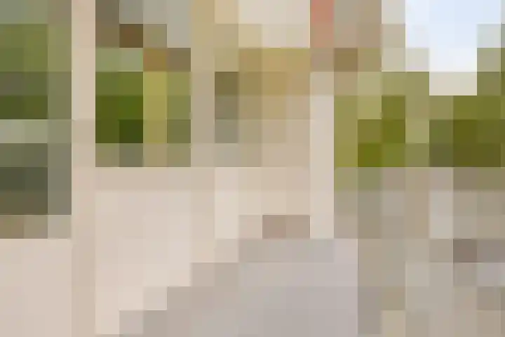 Frans Halslaan 113 Oegstgeest thumbnail 30