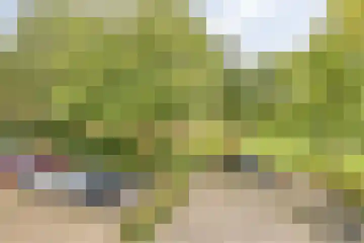 Frans Halslaan 113 Oegstgeest thumbnail 32