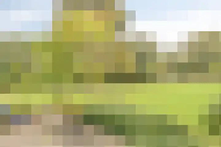 Frans Halslaan 113 Oegstgeest thumbnail 33