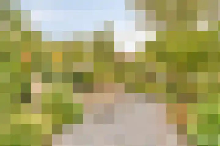 Frans Halslaan 113 Oegstgeest thumbnail 34
