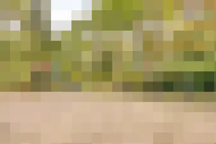 Frans Halslaan 113 Oegstgeest thumbnail 35