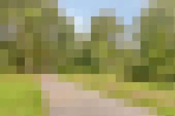 Frans Halslaan 113 Oegstgeest thumbnail 36