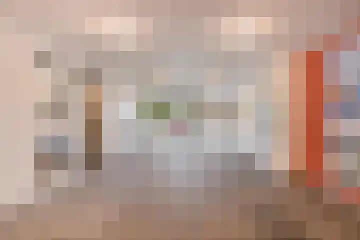 Frans Halslaan 113 Oegstgeest thumbnail 6