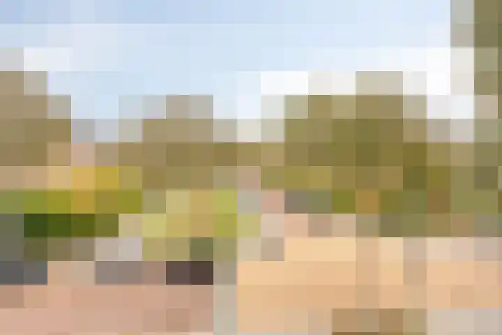Frans Halslaan 113 Oegstgeest thumbnail 8