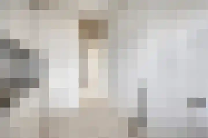 Frans Halslaan 125 Oegstgeest thumbnail 18