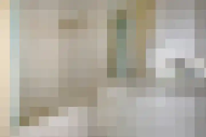 Frans Halslaan 125 Oegstgeest thumbnail 21