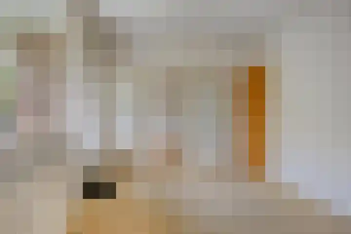 Frans Halslaan 125 Oegstgeest thumbnail 24
