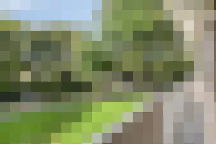 Frans Halslaan 125 Oegstgeest thumbnail 25
