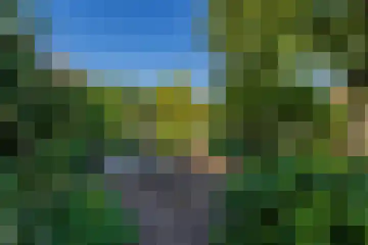 Frans Halslaan 125 Oegstgeest thumbnail 29