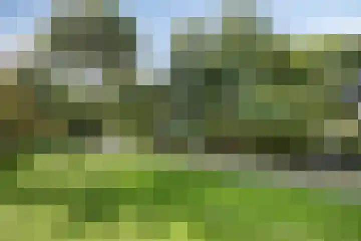 Frans Halslaan 125 Oegstgeest thumbnail 30