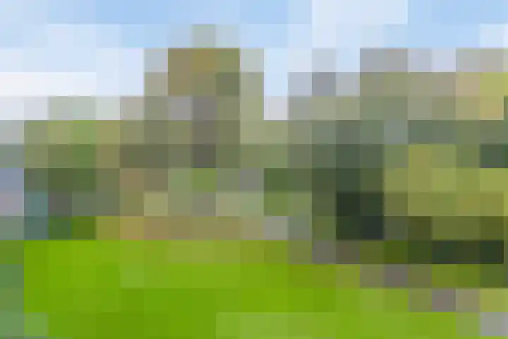 Frans Halslaan 125 Oegstgeest thumbnail 31