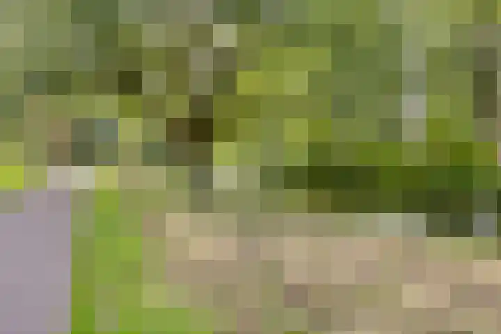 Frans Halslaan 125 Oegstgeest thumbnail 32