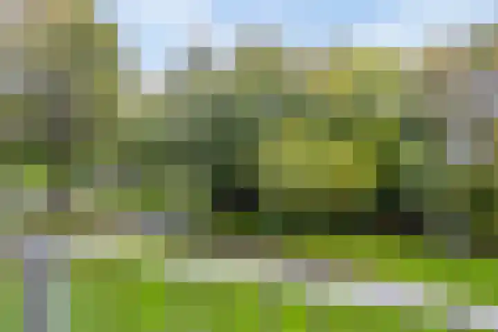 Frans Halslaan 125 Oegstgeest thumbnail 33
