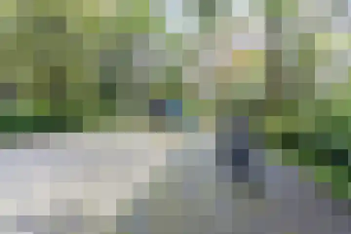 Frans Halslaan 125 Oegstgeest thumbnail 34