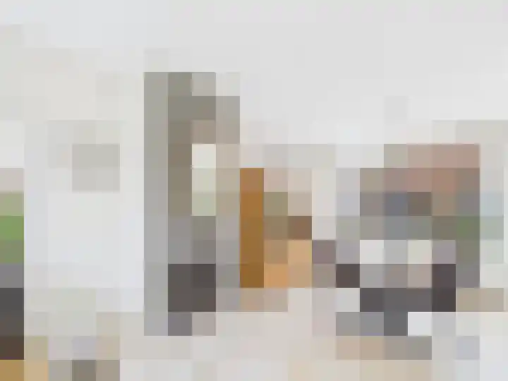 Frans Halslaan 13 Terneuzen thumbnail 10