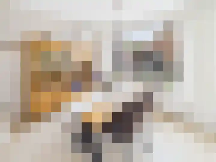 Frans Halslaan 13 Terneuzen thumbnail 11