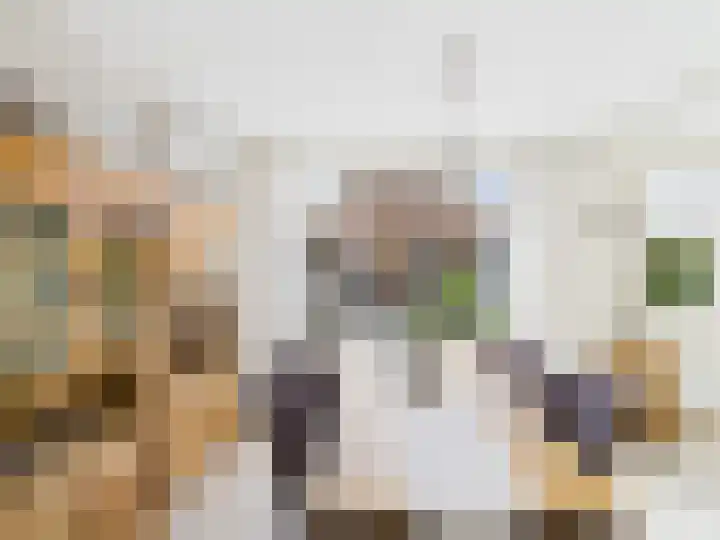 Frans Halslaan 13 Terneuzen thumbnail 12