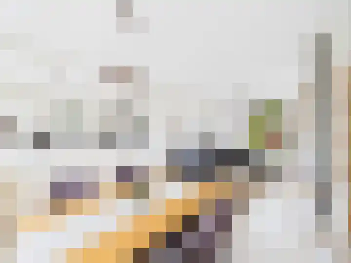 Frans Halslaan 13 Terneuzen thumbnail 13