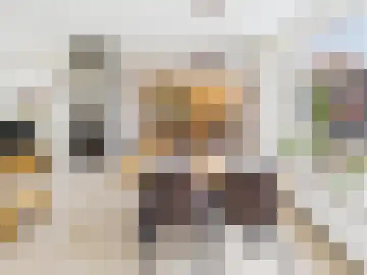 Frans Halslaan 13 Terneuzen thumbnail 14