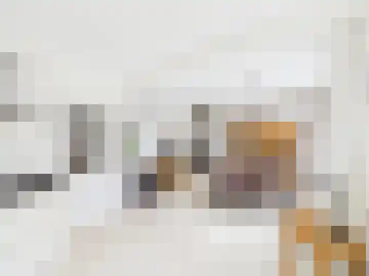 Frans Halslaan 13 Terneuzen thumbnail 15
