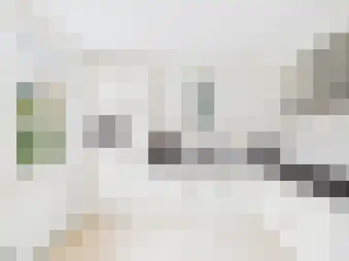 Frans Halslaan 13 Terneuzen thumbnail 16