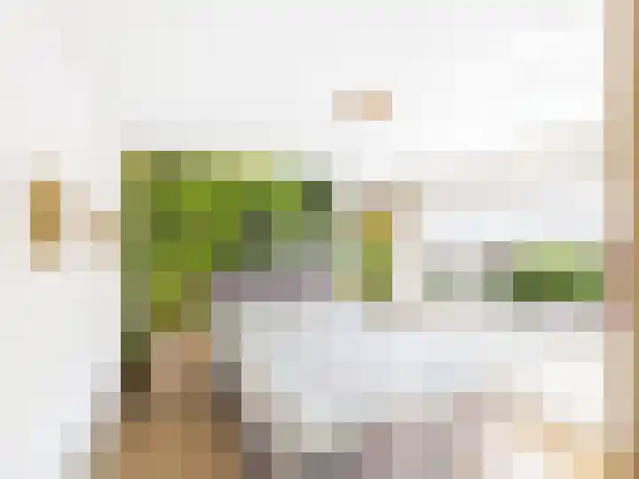 Frans Halslaan 13 Terneuzen thumbnail 22