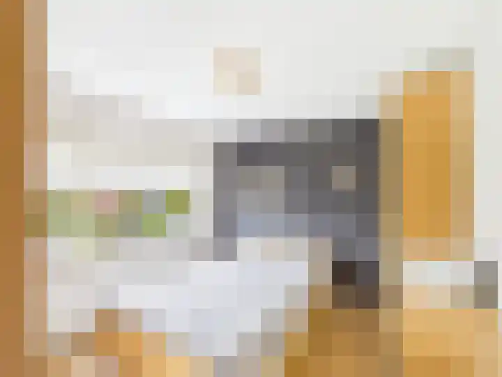 Frans Halslaan 13 Terneuzen thumbnail 24