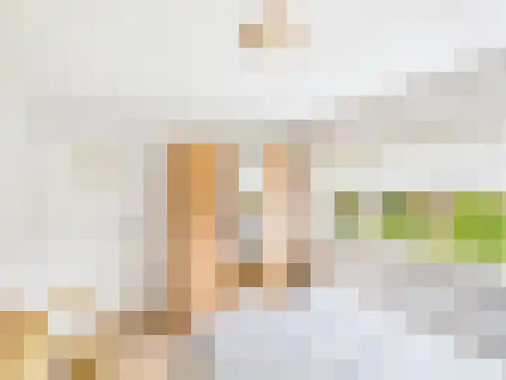 Frans Halslaan 13 Terneuzen thumbnail 25