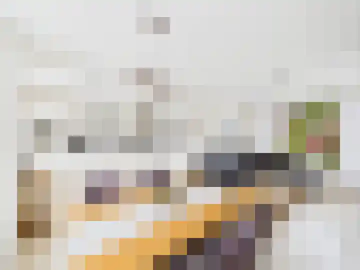 Frans Halslaan 13 Terneuzen thumbnail 4