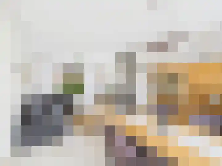 Frans Halslaan 13 Terneuzen thumbnail 5
