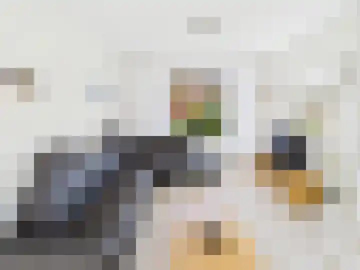 Frans Halslaan 13 Terneuzen thumbnail 7