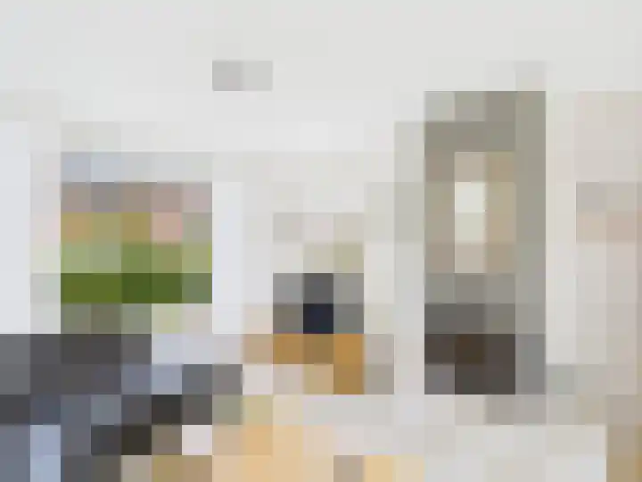 Frans Halslaan 13 Terneuzen thumbnail 8
