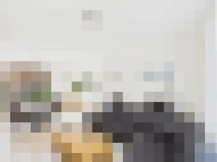 Frans Halslaan 13 Terneuzen thumbnail 9