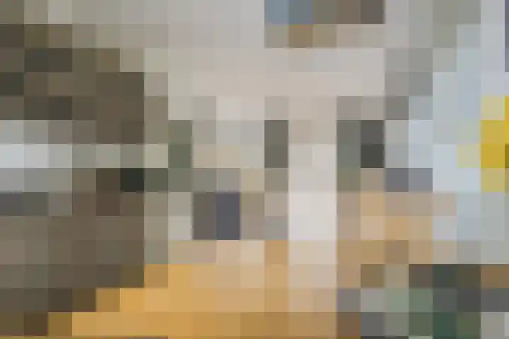 Frans Halslaan 14 Oosterhout thumbnail 10
