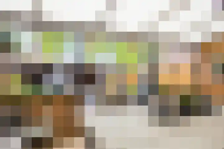 Frans Halslaan 14 Oosterhout thumbnail 11
