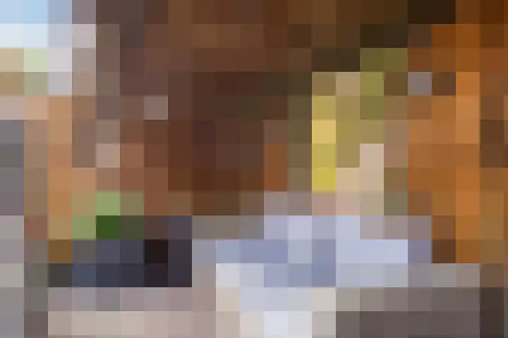 Frans Halslaan 14 Oosterhout thumbnail 12