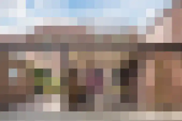 Frans Halslaan 14 Oosterhout thumbnail 15